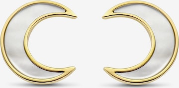 Ti Sento Milano Earrings in Gold: front