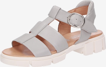 SIOUX Strap Sandals ' Ronila-701 ' in Grey: front