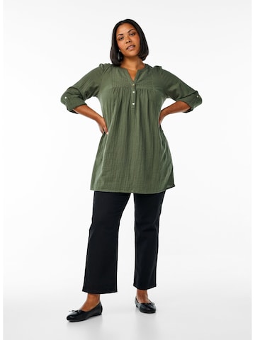 Zizzi Halenka 'Cavivu' – zelená