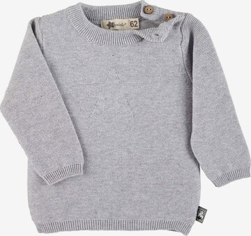 STERNTALER Pullover (GOTS) in Grau