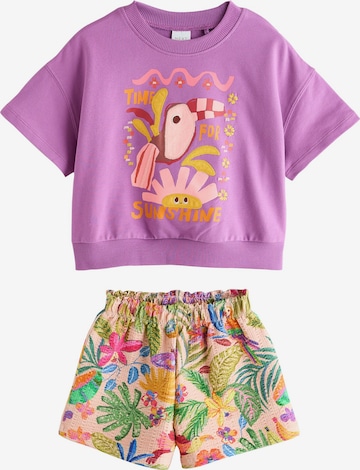 Next Set in Lila: Vorderseite