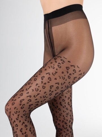 camano Feinstrumpfhose 'Leo' in Schwarz
