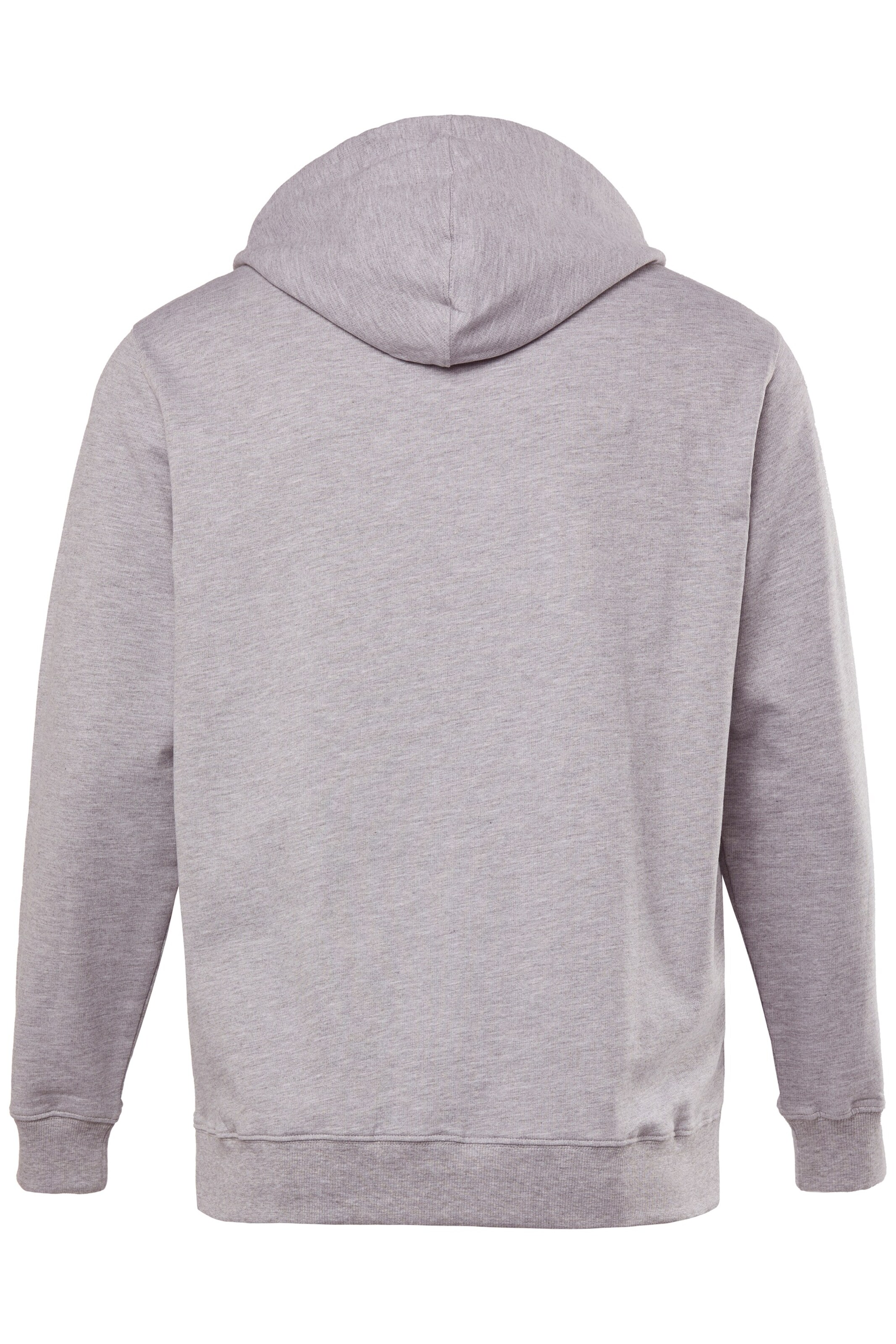 Men Plus Sweatshirt in Grijs