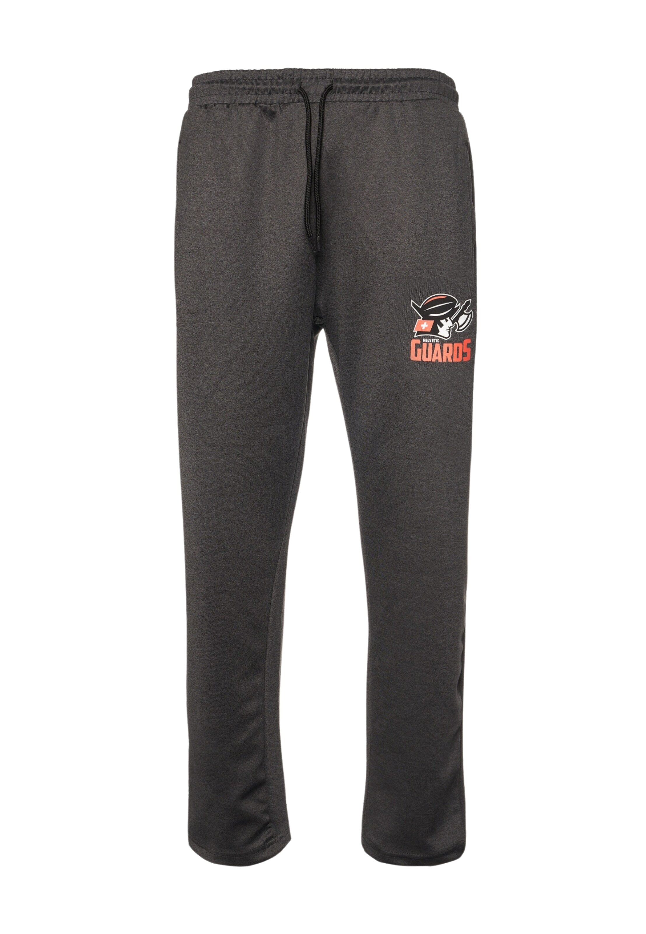 Loosefit Pantalon de sport 'Helvetic Guards' European League of Football en gris : devant