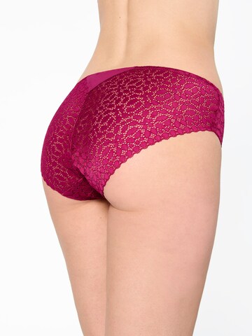 Nur Die Slip ' Daily Lace ' in Roze