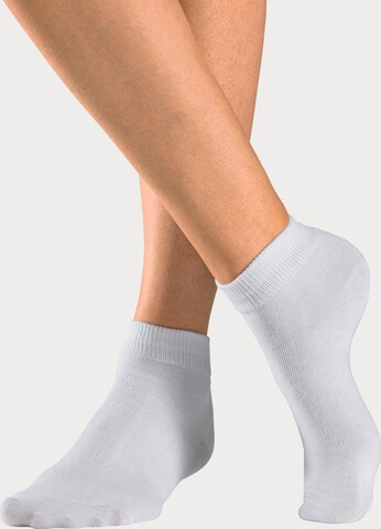 H.I.S Socks in White