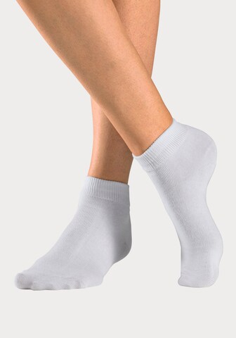 H.I.S Socks in White