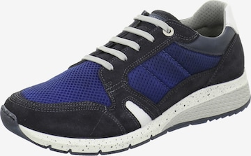 SALAMANDER Sneakers in Blue: front