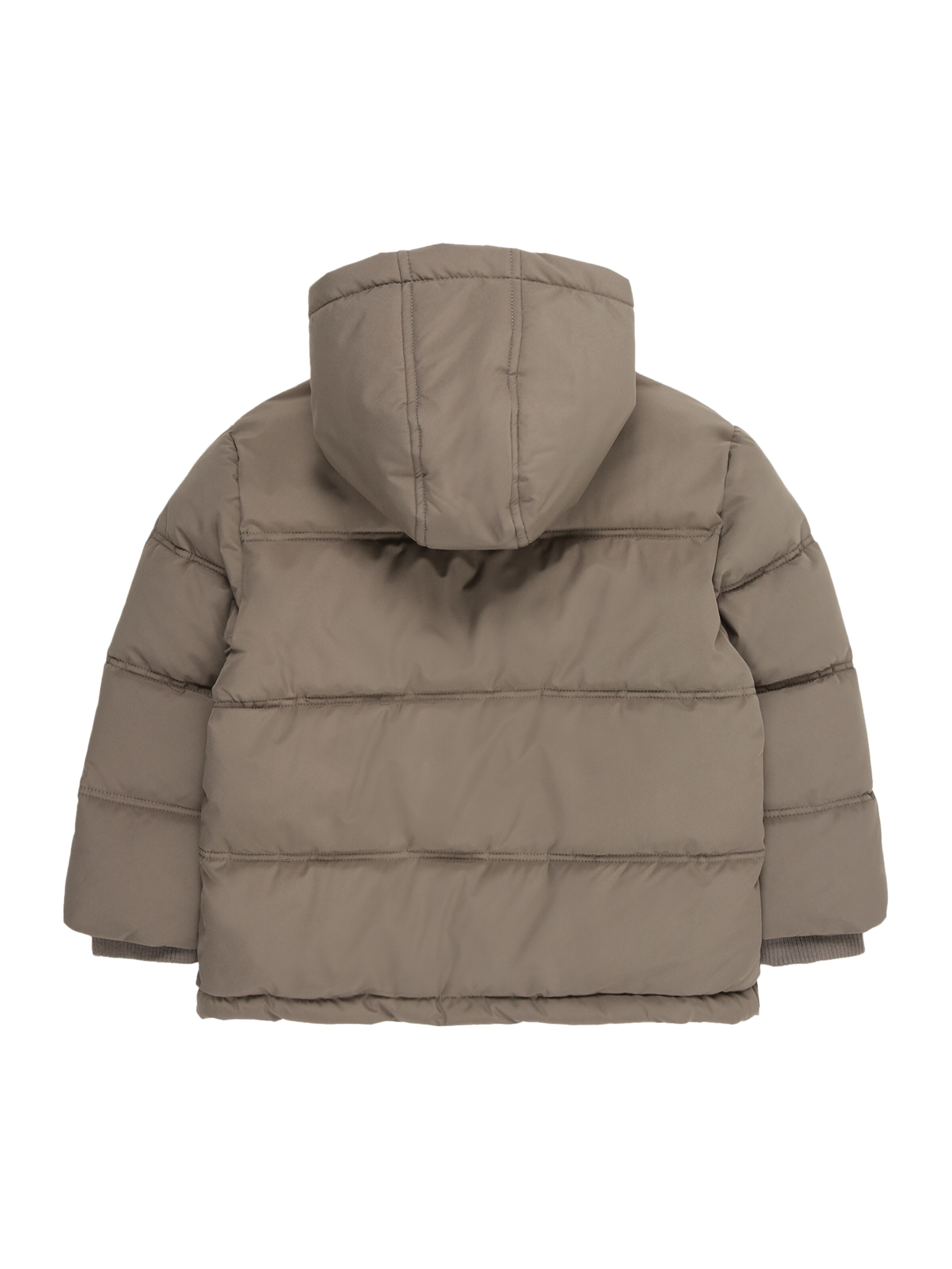 STACCATO Зимняя куртка в Зеленый