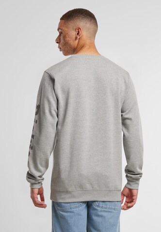 DICKIES Sweatshirt in Grau