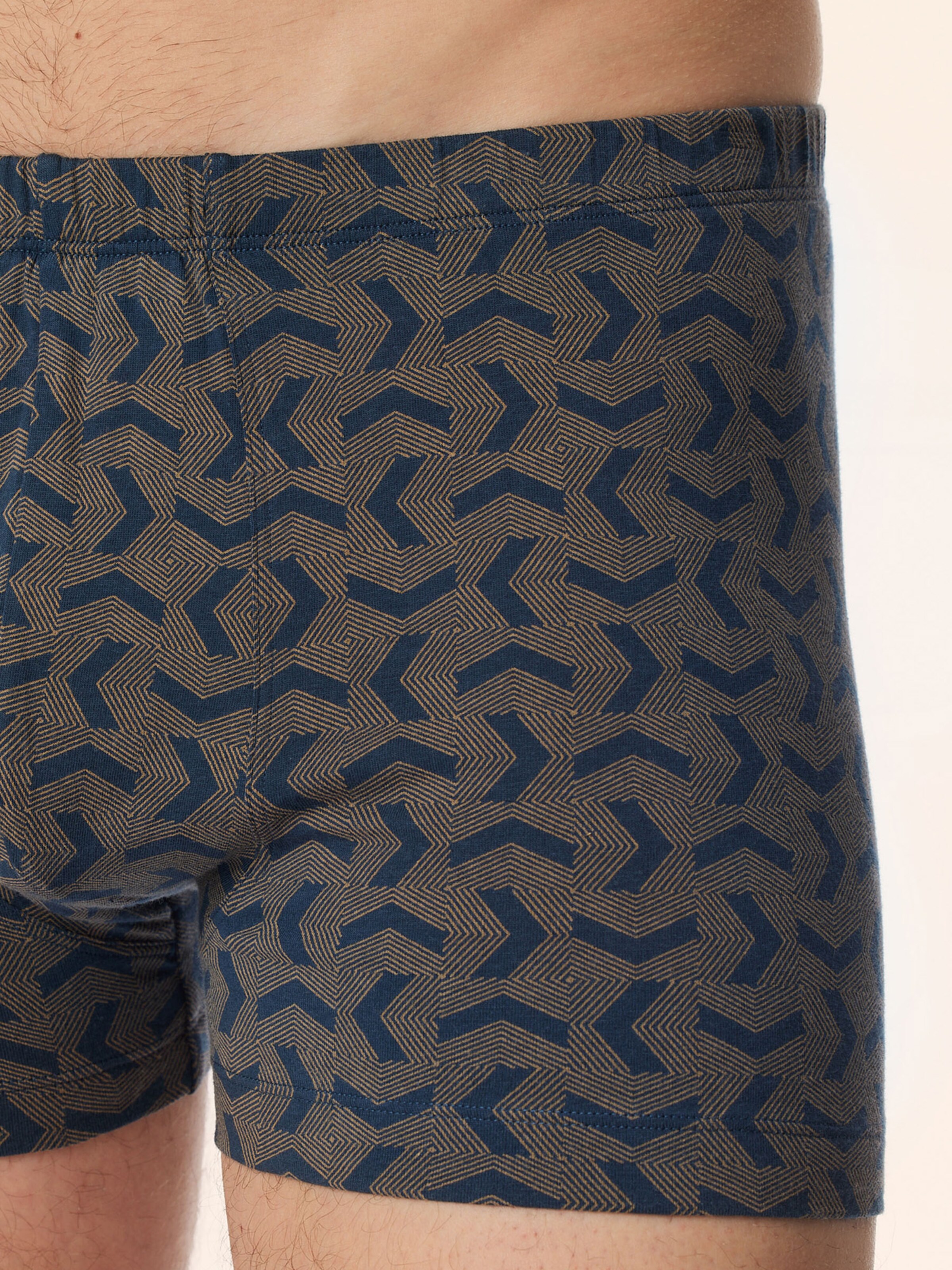 SCHIESSER Trunk ' 95/5 Essentials ' in Braun