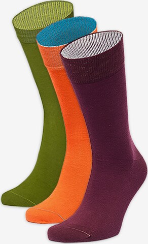 Von Jungfeld Socks in Green