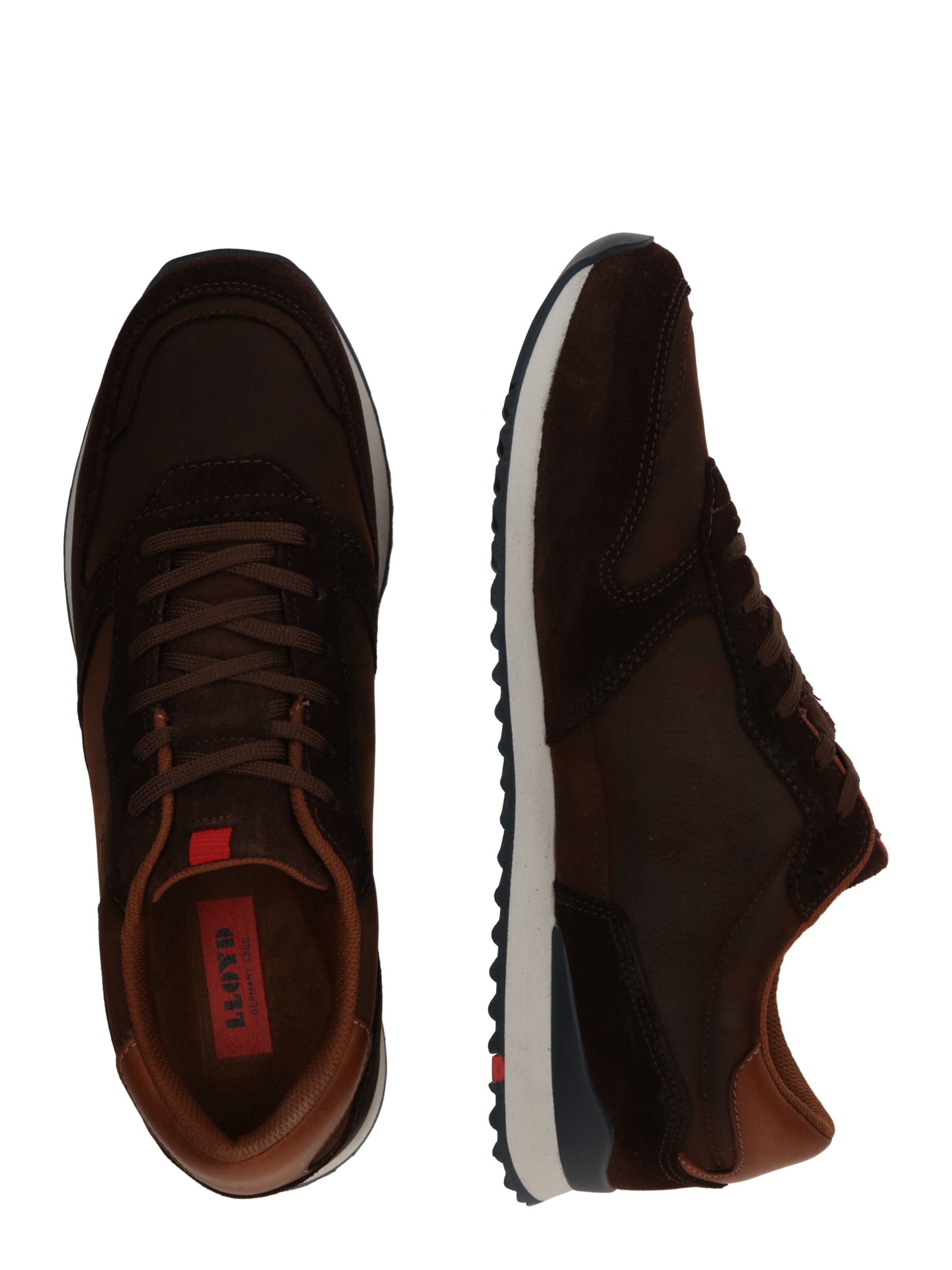 LLOYD Matalavartiset tennarit 'Edmond' värissä ruskea