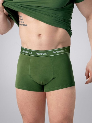 PANTONECLO Boxershorts 'Pantoneclo Men’s Boxer Underwear'‌‌‌ in Grün
