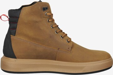 FRETZ MEN Lace-Up Boots in Brown