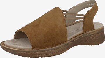 ARA Strap Sandals in Brown: front