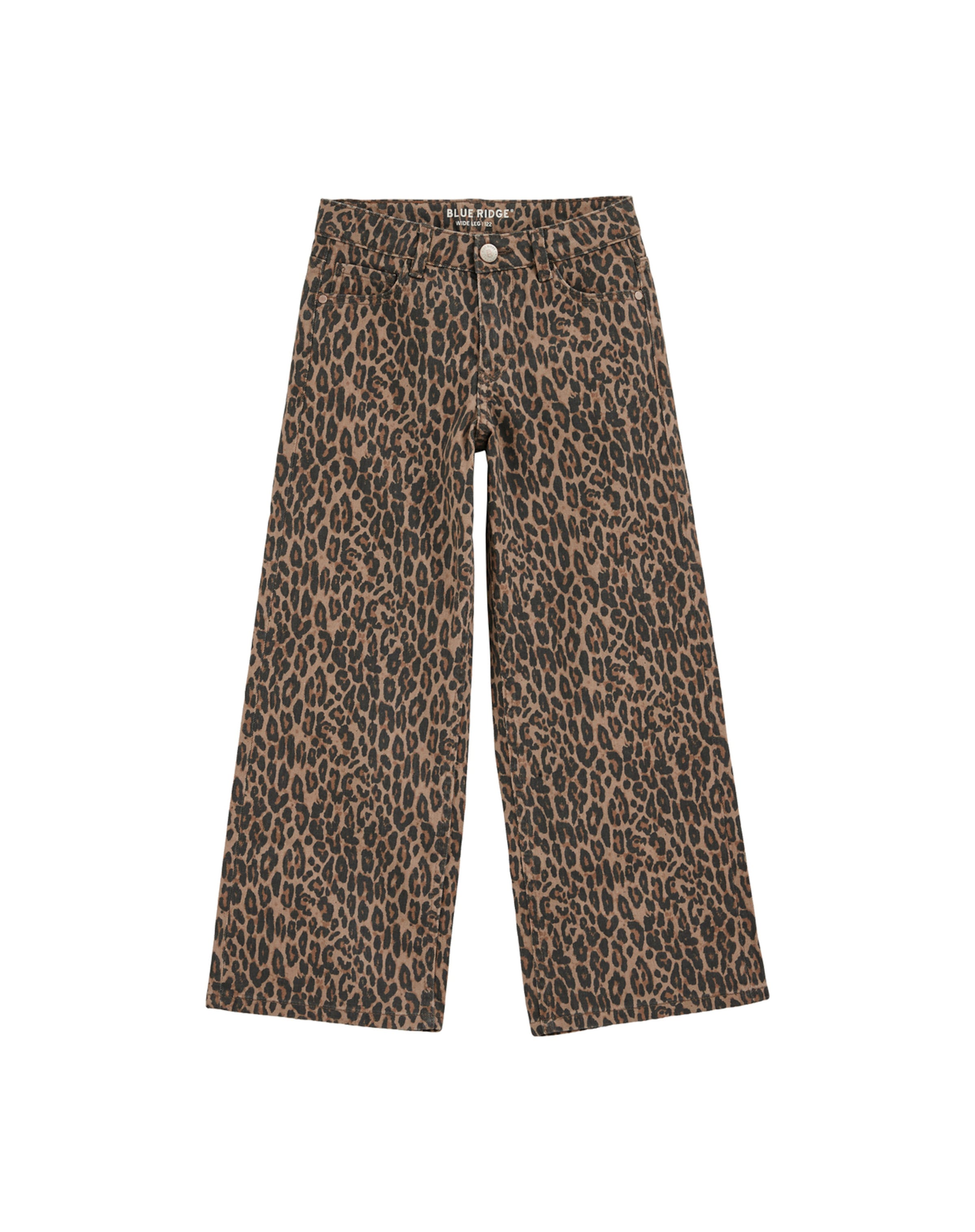 Wide Leg Jean WE Fashion en marron : devant