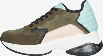 Sneaker bassa di Steven New York in verde