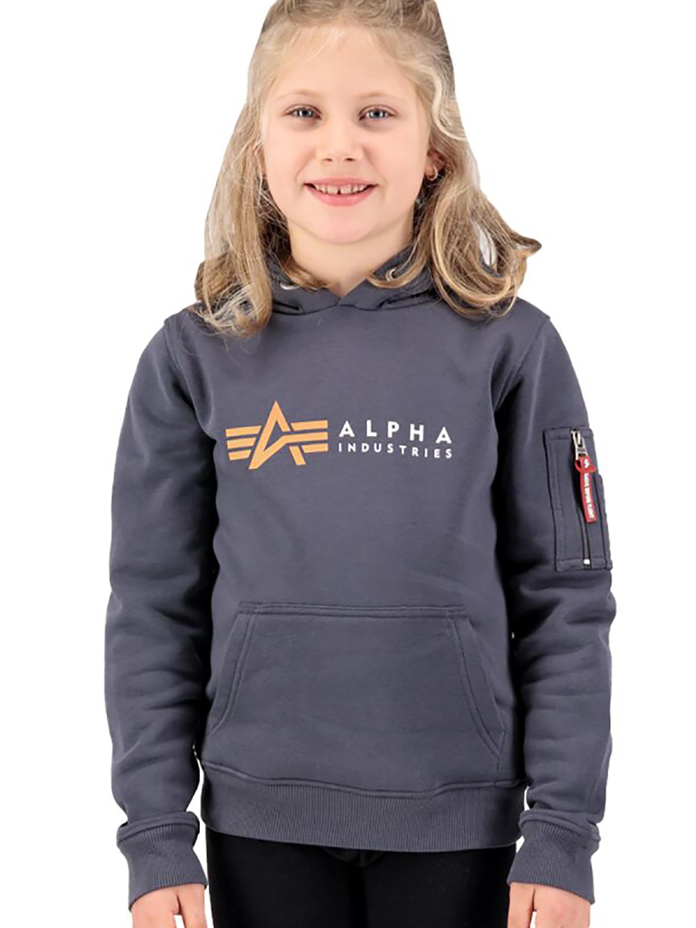 ALPHA INDUSTRIES Sweatshirt in Grey: front