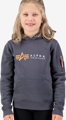 ALPHA INDUSTRIES Sweatshirt in Grey: front