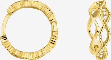 Sofia Milani Earrings in Gold: front