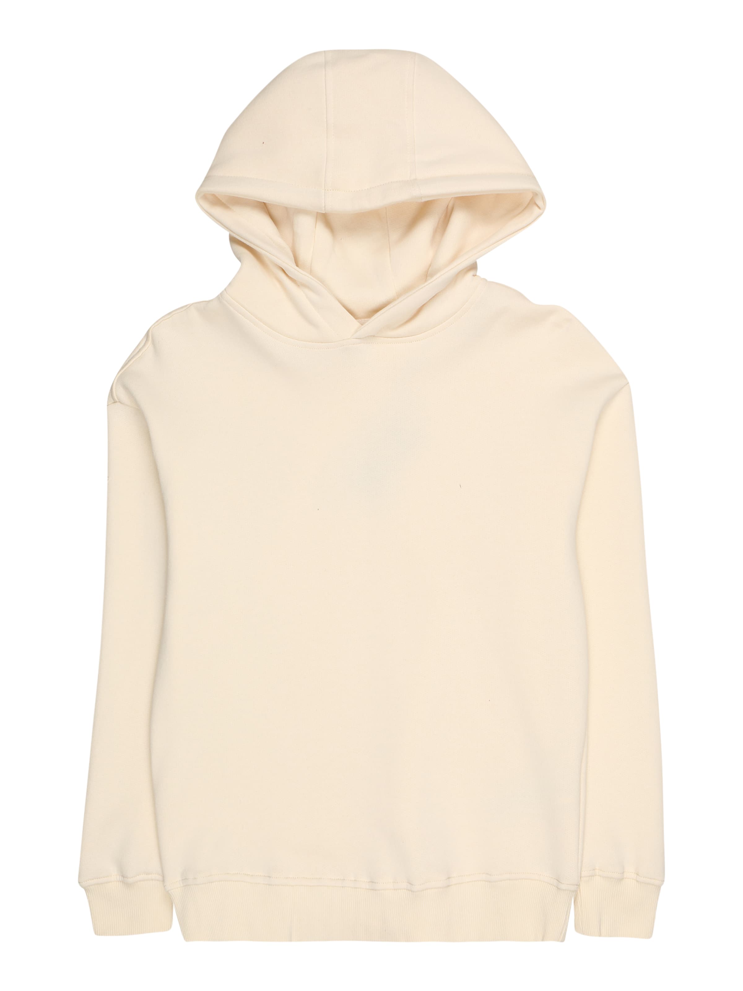 Urban Classics Sweatshirt in White: front
