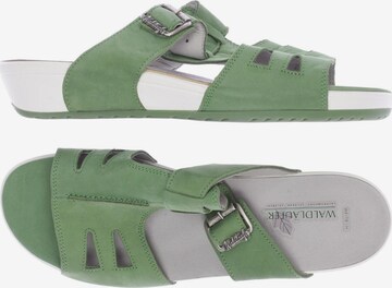 WALDLÄUFER Sandals & High-Heeled Sandals in 39,5 in Green: front