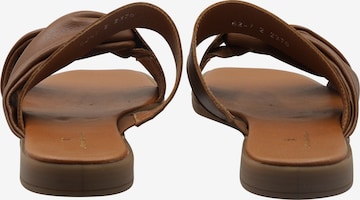 DreiMaster Klassik Mules in Brown