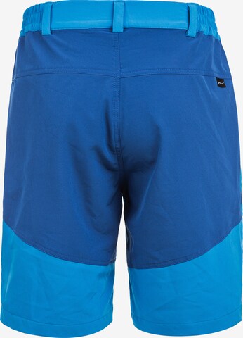 Whistler Regular Workout Pants 'Avian' in Blue