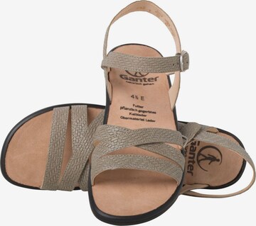 Ganter Sandalen met riem in Groen