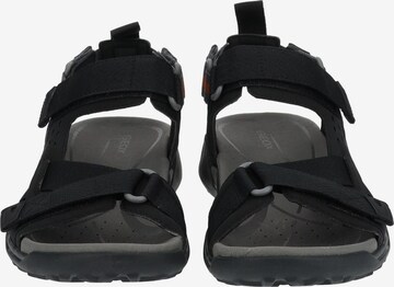 GEOX Sandals in Black