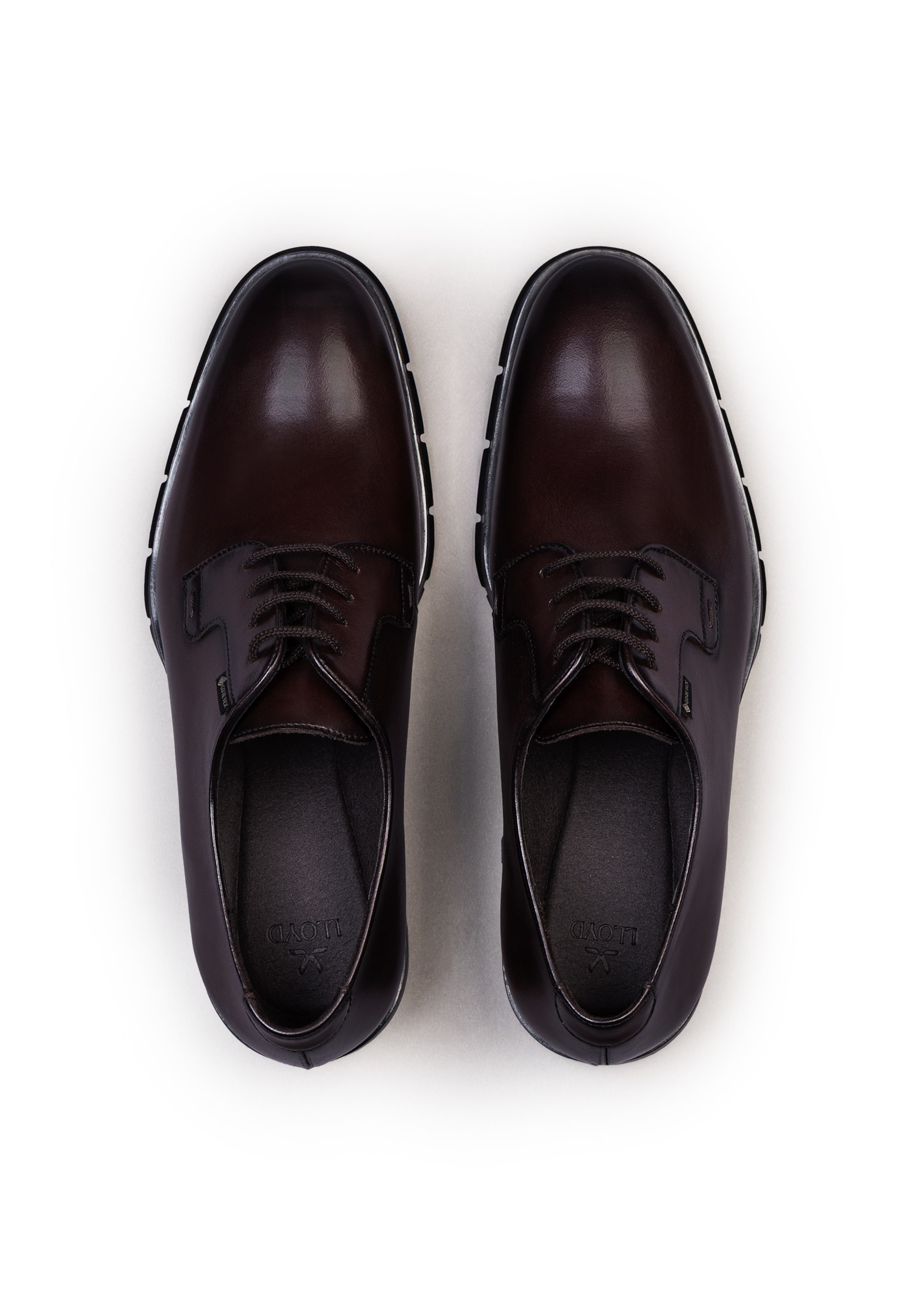 LLOYD Lace-up shoe in Brown