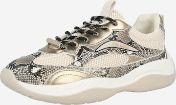 STEVE MADDEN Matalavartiset tennarit 'Premio' värissä ruskea: etupuoli