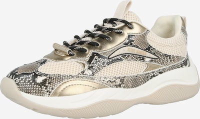 STEVE MADDEN Matalavartiset tennarit 'Premio' koossa 36 värissä cappuccino / musta, Tuotenäkymä