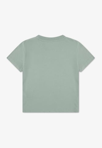 Abercrombie & Fitch Paita 'CLASSIC' värissä vihreä