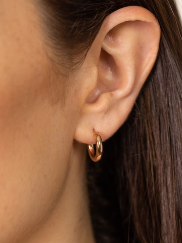PURELEI Earrings 'Brave' in Gold: front