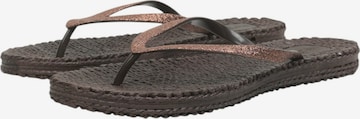Sandales 'Cheerful01' ILSE JACOBSEN en marron : devant