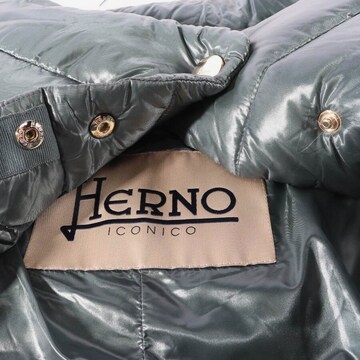 Herno Jacket & Coat in S in Green