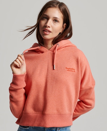 Superdry Sweatshirt in Orange