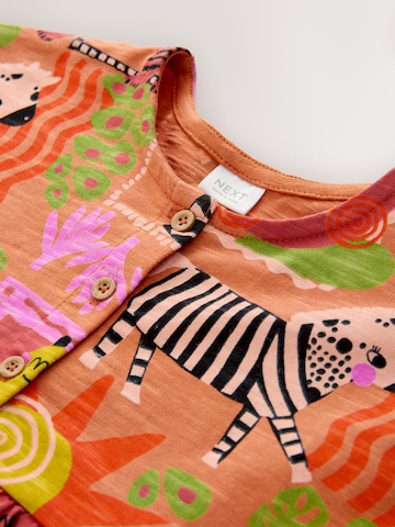 Next Kleid in Orange