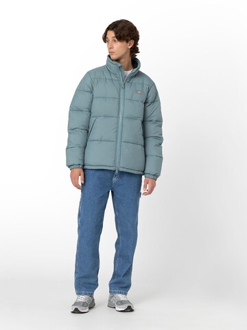 DICKIES Winter Jacket 'WALDENBURG' in Blue