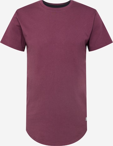 T-Shirt HOLLISTER en violet : devant