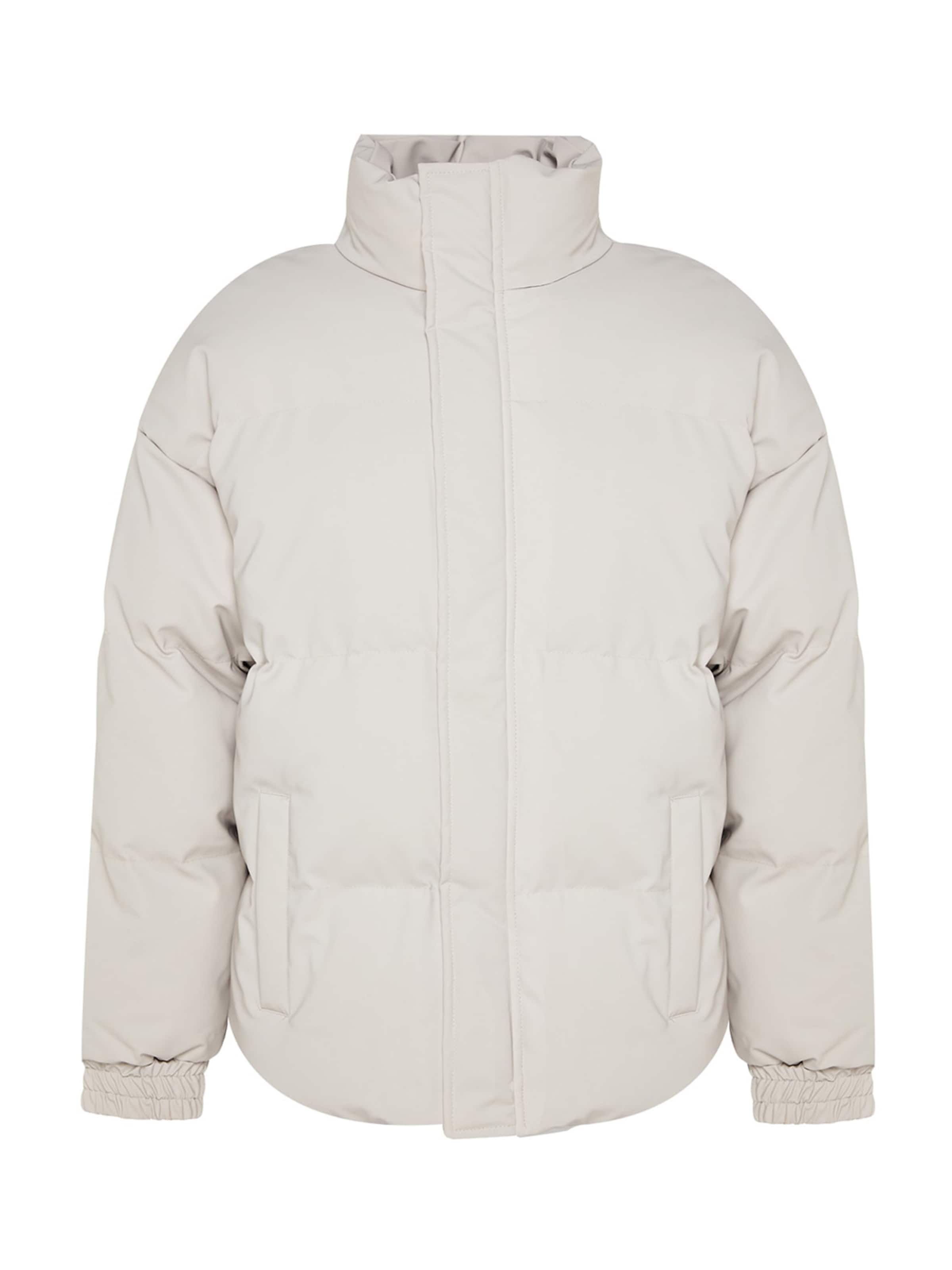 Trendyol Φθινοπωρινό και ανοιξιάτικο μπουφάν σε γκρι: μπροστά