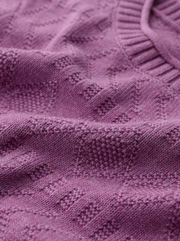 Seasalt Cornwall Pullover 'Kinter' in Lila