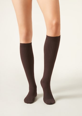 CALZEDONIA Socken in Braun: Vorderseite