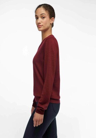 Peter Hahn Pullover in Rot