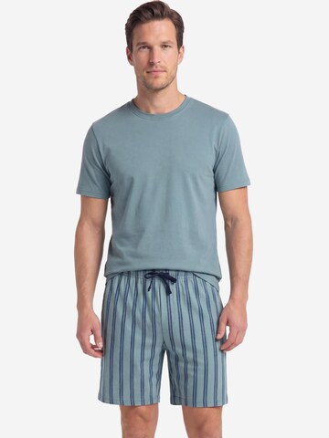 Ammann Pyjama kort 'Mix & Match' in Blauw
