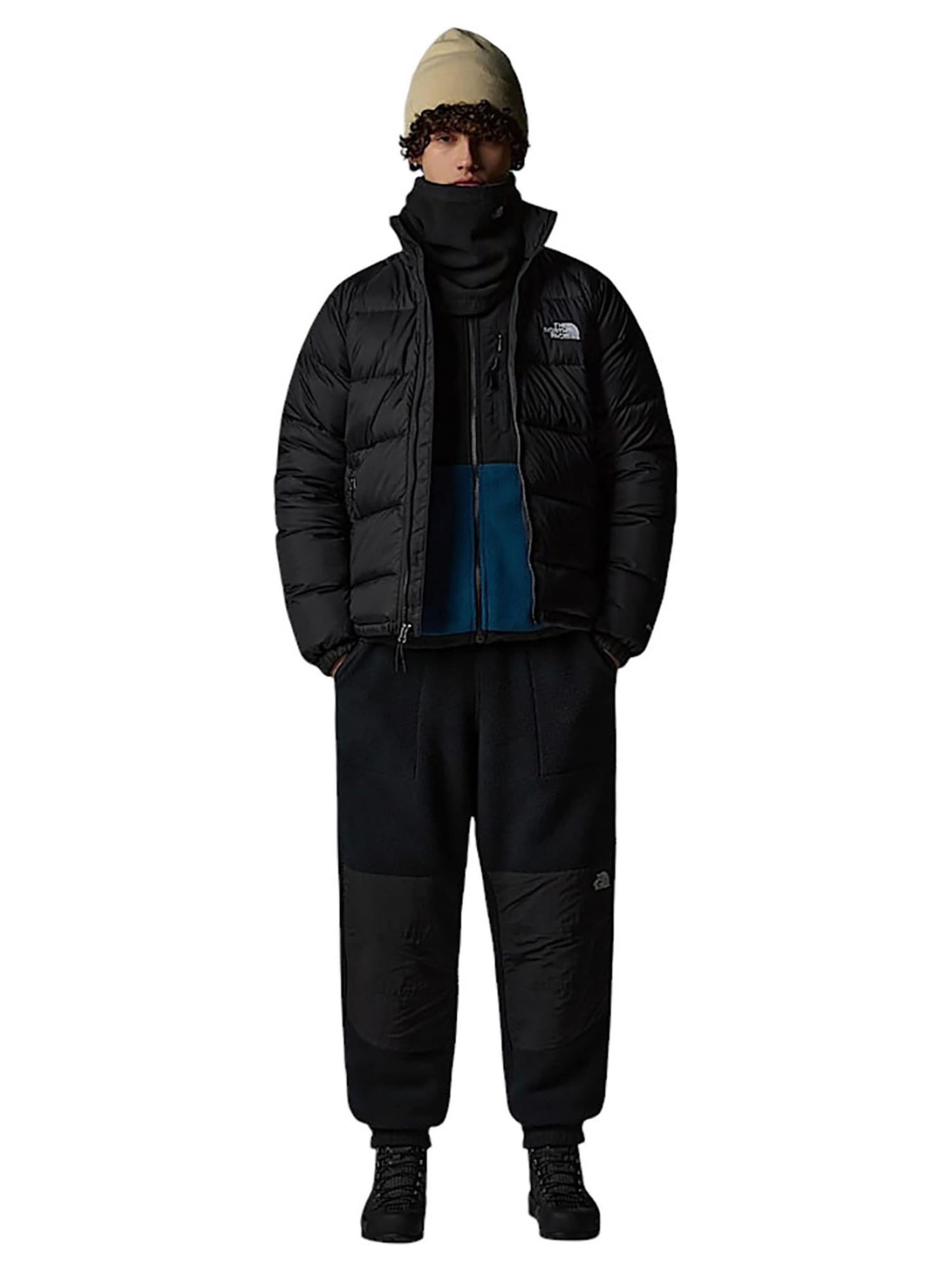 THE NORTH FACE Зимняя куртка 'Hydrenalite' в Черный