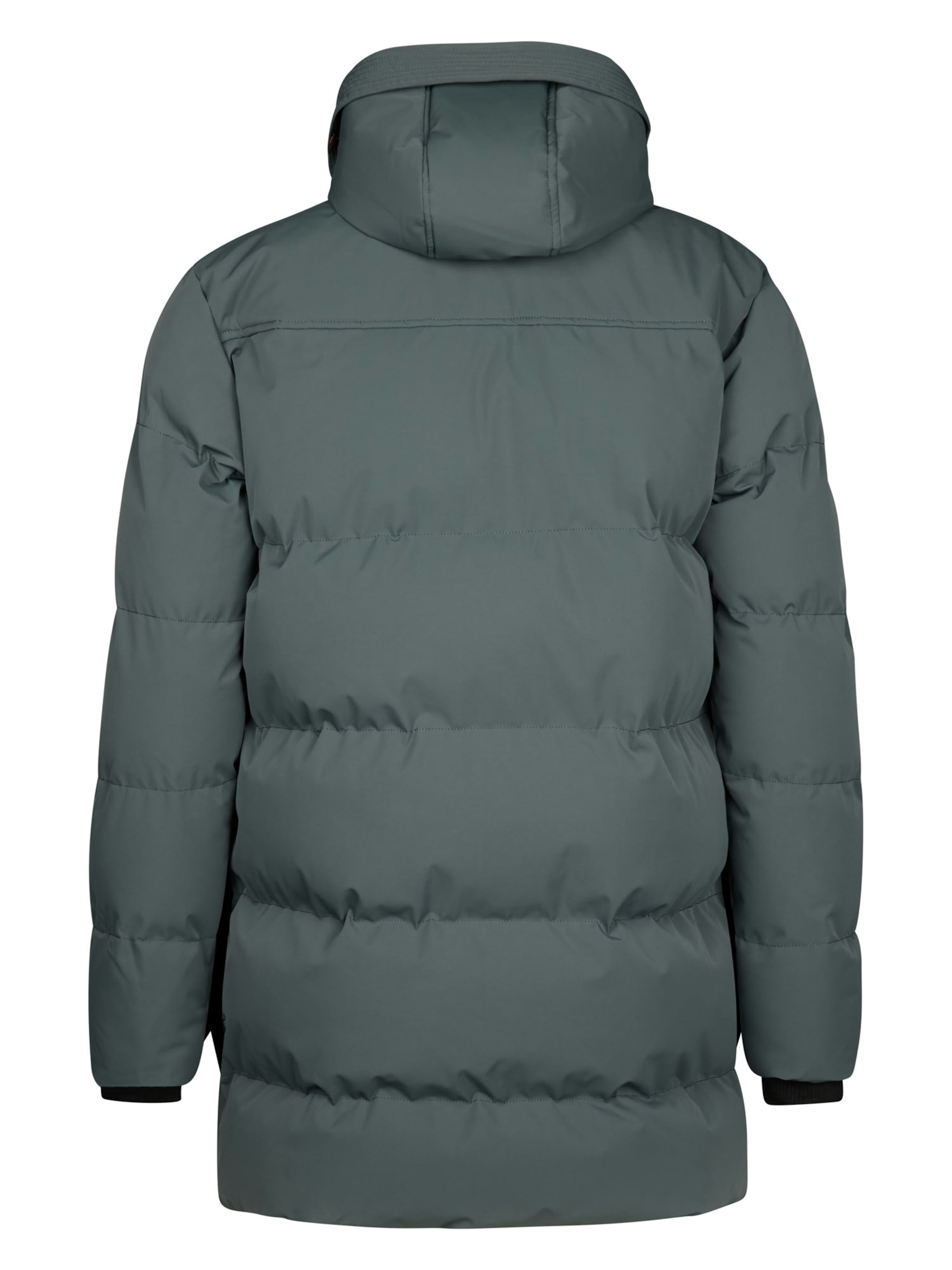 Petrol Industries Winter jacket in Green