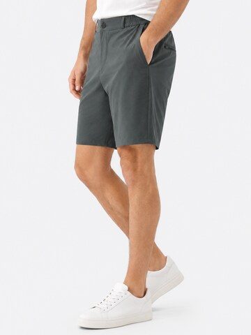 ALLTHEMEN Regular Traditional Pants 'Luftzug' in Grey